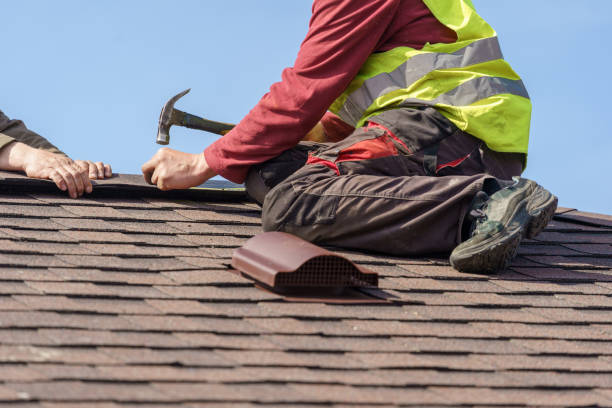 Best Emergency Roof Repair  in Pepeekeo, HI