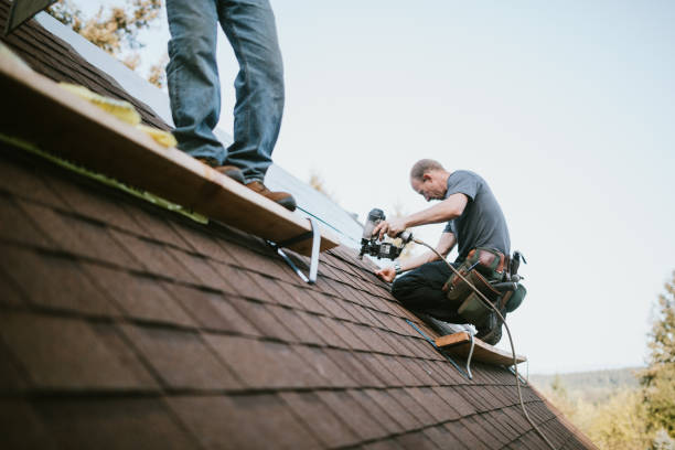 Quick and Trustworthy Emergency Roof Repair Services in Pepeekeo, HI