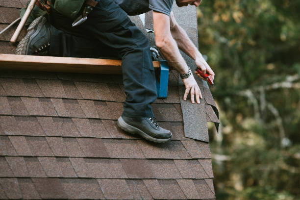 Professional Roofing Contractor in Pepeekeo, HI